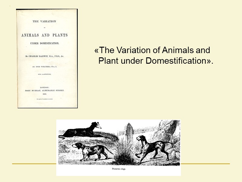 «The Variation of Animals and Plant under Domestification».